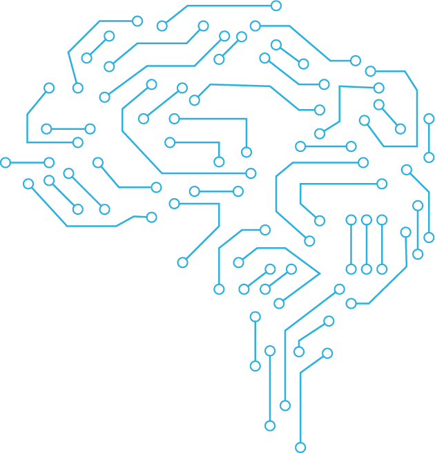 brain